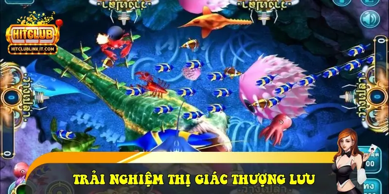 Trải nghiệm thị giác thượng lưu