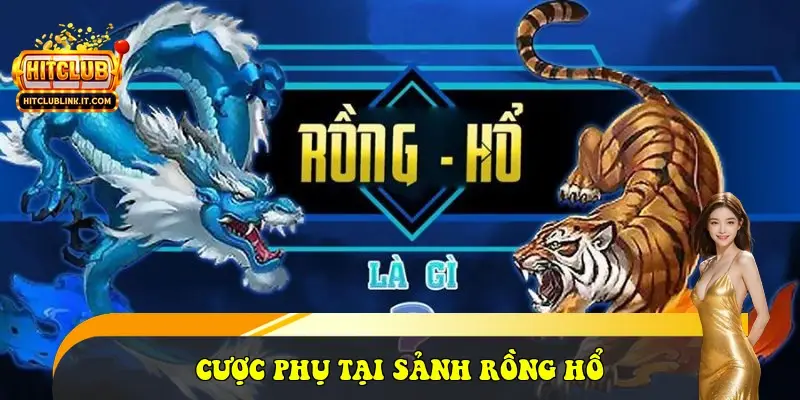 cược phụ tại sảnh Rồng Hổ